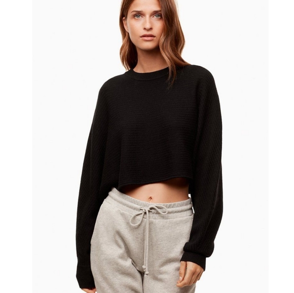 Aritzia Sweaters - Aritzia Wilfred Free Lolan Cropped Wool Sweater